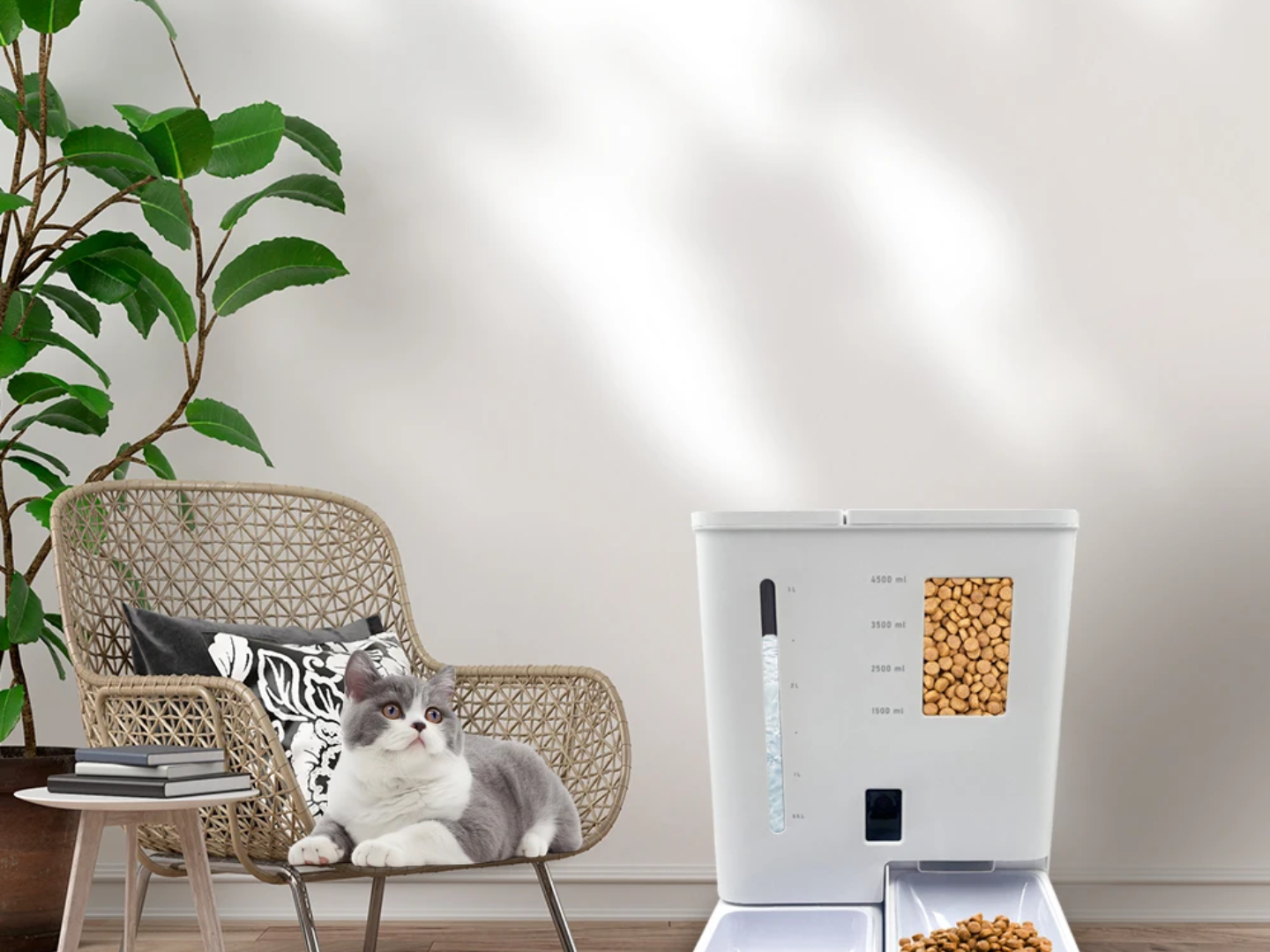 Stay Connected With Your Pet Using the 2-in-1 Smart Feeder With Camera
