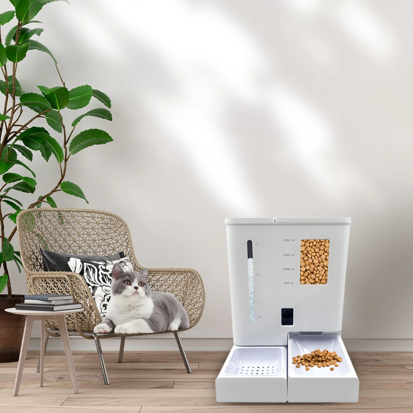Stay Connected With Your Pet Using the 2-in-1 Smart Feeder With Camera