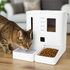 White 2-in-1 smart pet feeder with clear food level window, built-in camera, and a cat drinking water next to it.